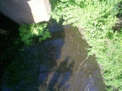 В Шарлыкском районе в водоеме обнаружено тело 5-летнего мальчика